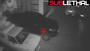 Car Thief GIF